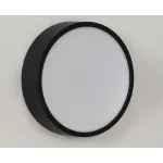 Светильник потолочный M04-525-125 black 4000K от ImperiumLoft