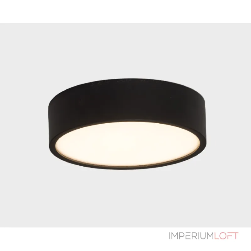 Светильник потолочный M04-525-95 black 4000K от ImperiumLoft