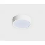 Светильник потолочный M04-525-95 white 4000K от ImperiumLoft