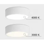 Светильник потолочный M04-525-95 white 4000K от ImperiumLoft