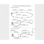 Монтажная коробка IT010-4023 black от ImperiumLoft