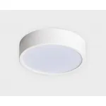 Светильник потолочный M04-525-175 white 4000K от ImperiumLoft