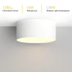 Потолочный светодиодный светильник LeDron LXS0812-16W LXS0812-16W 4000K Triac Dim от ImperiumLoft