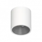 Потолочный светодиодный светильник LeDron RINBOK RINBOK White-Grey TRIAC 4000K от ImperiumLoft