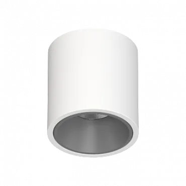 Потолочный светодиодный светильник LeDron RINBOK RINBOK White-Grey TRIAC 4000K