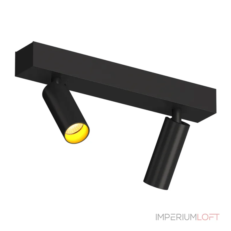 Потолочный поворотный светодиодный светильник LeDron SAGITONY SAGITONY E2 S40 B-Gl от ImperiumLoft