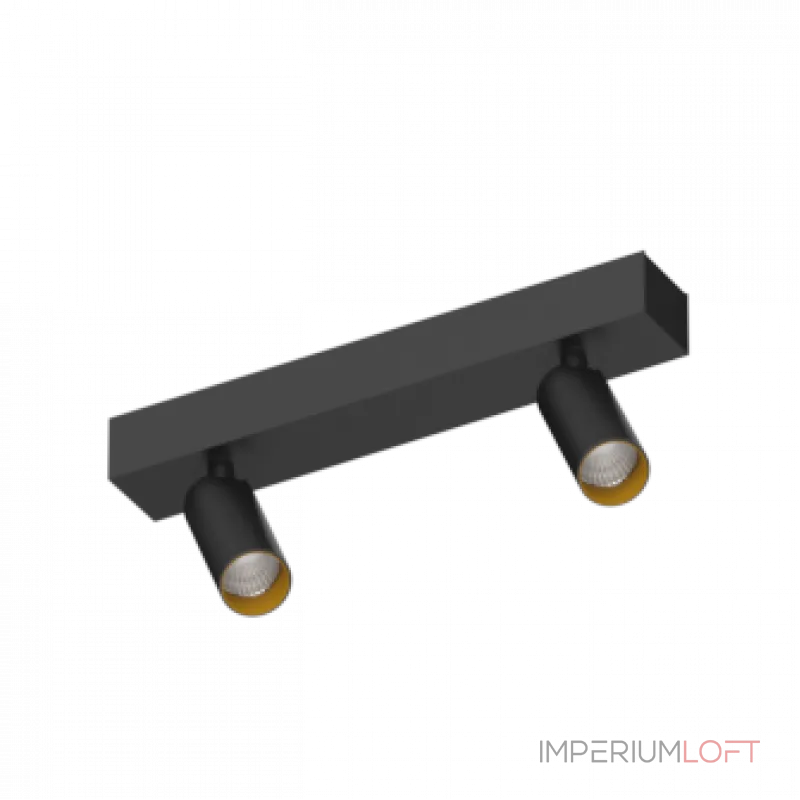 Потолочный поворотный светодиодный светильник LeDron SAGITONY SAGITONY E2 S40 B-Gl от ImperiumLoft