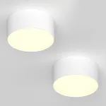 Потолочный светодиодный светильник LeDron LXS0812-16W LXS0812-16W 4000K Triac Dim от ImperiumLoft