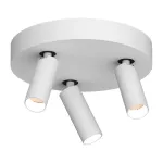 Потолочный поворотный светодиодный светильник LeDron SAGITONY SAGITONY R3 S40 Dim White 4000K от ImperiumLoft