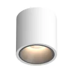 Потолочный светодиодный светильник LeDron RINBOK RINBOK White-Grey TRIAC 4000K от ImperiumLoft