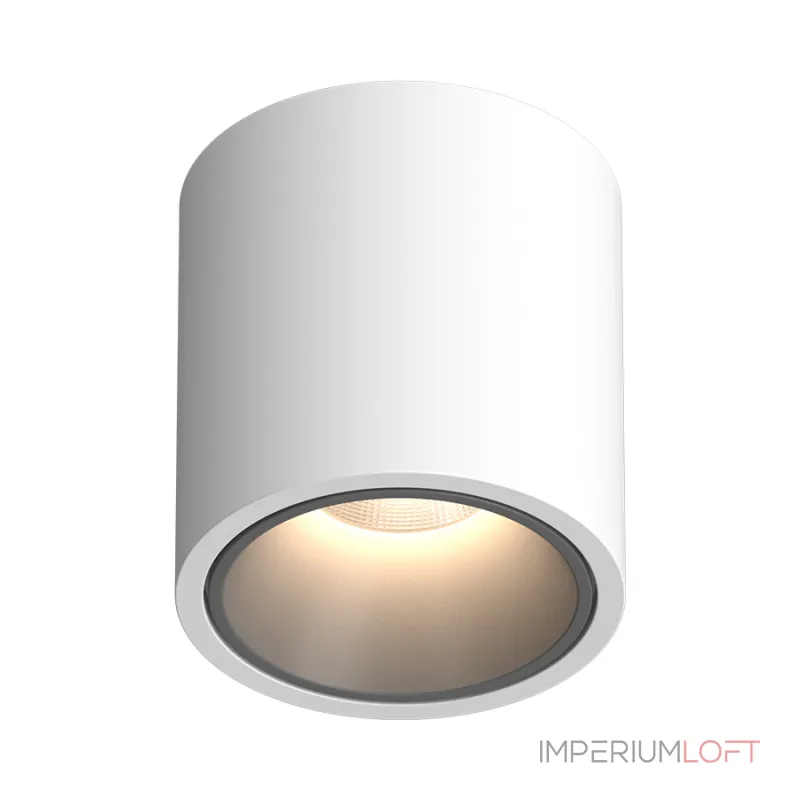 Потолочный светодиодный светильник LeDron RINBOK RINBOK White-Grey TRIAC 4000K от ImperiumLoft