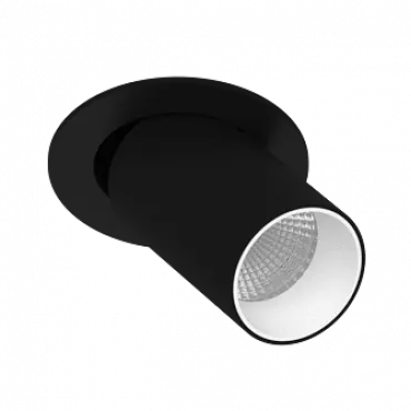 Встраиваемый поворотный светодиодный светильник LeDron DANNY MINI DANNY MINI S40 Black-Whit