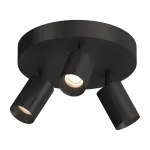 Потолочный поворотный светодиодный светильник LeDron SAGITONY SAGITONY R3 S60 Black от ImperiumLoft