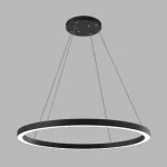 Подвесной светильник LeDron RING LINE RING LINE R800 Black 3K