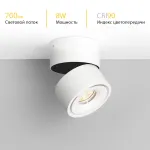 Потолочный поворотный светодиодный светильник LeDron LH8 LH8 White от ImperiumLoft