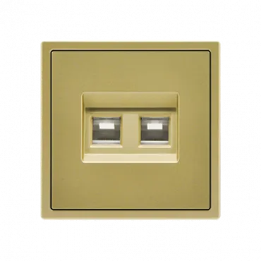 Розетка компьютерная двойная LeDron Dual CAT 6 (DATA) Gold