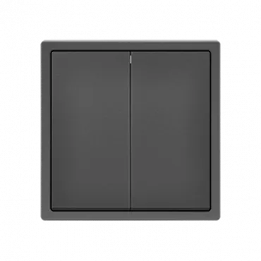 Выключатель двухклавишный звонкового типа LeDron 2G Reset Grey