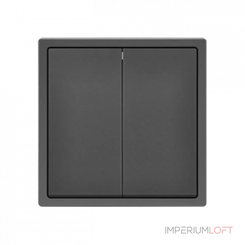 Выключатель двухклавишный звонкового типа LeDron 2G Reset Grey от ImperiumLoft Выключатель двухклавишный звонкового типа LeDron 2G Reset Grey от ImperiumLoft