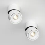 Потолочный поворотный светодиодный светильник LeDron LH8 LH8 White от ImperiumLoft