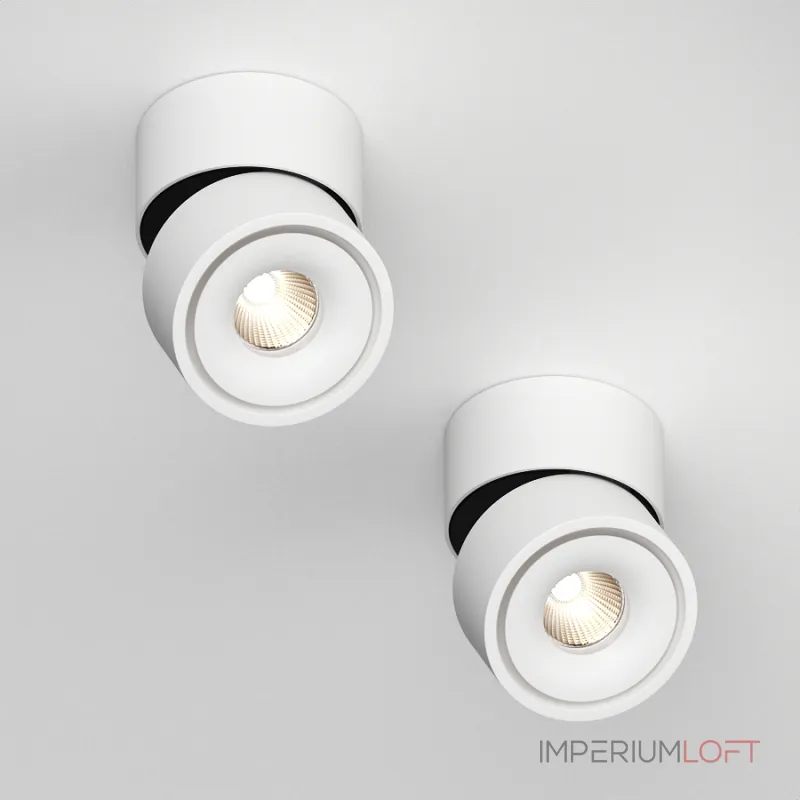 Потолочный поворотный светодиодный светильник LeDron LH8 LH8 White от ImperiumLoft