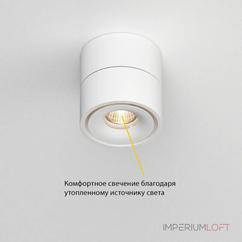 Потолочный поворотный светодиодный светильник LeDron LH8 LH8 White от ImperiumLoft