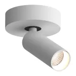 Потолочный поворотный светодиодный светильник LeDron SAGITONY SAGITONY R1 S40 Dim White от ImperiumLoft