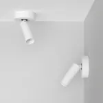 Потолочный поворотный светодиодный светильник LeDron SAGITONY SAGITONY R1 S40 Dim White от ImperiumLoft