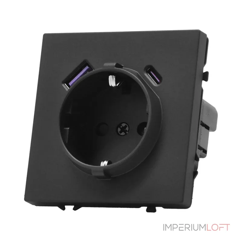 Розетка одинарная с заземлением с USB-портом для зарядки Type A + Type C LeDron EU Socket with USB A+C 20W Black от ImperiumLoft