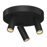 Потолочный поворотный светодиодный светильник LeDron SAGITONY SAGITONY R3 S40 Black 4000K от ImperiumLoft