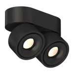Потолочный поворотный светодиодный светильник LeDron LH8W LH8W 2 Black 4000K от ImperiumLoft