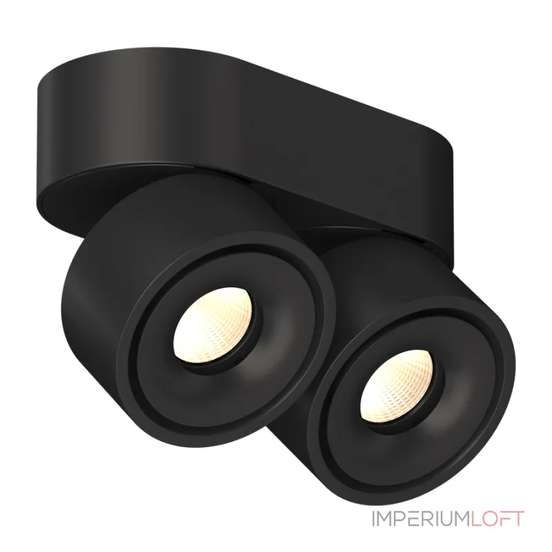 Потолочный поворотный светодиодный светильник LeDron LH8W LH8W 2 Black 4000K от ImperiumLoft