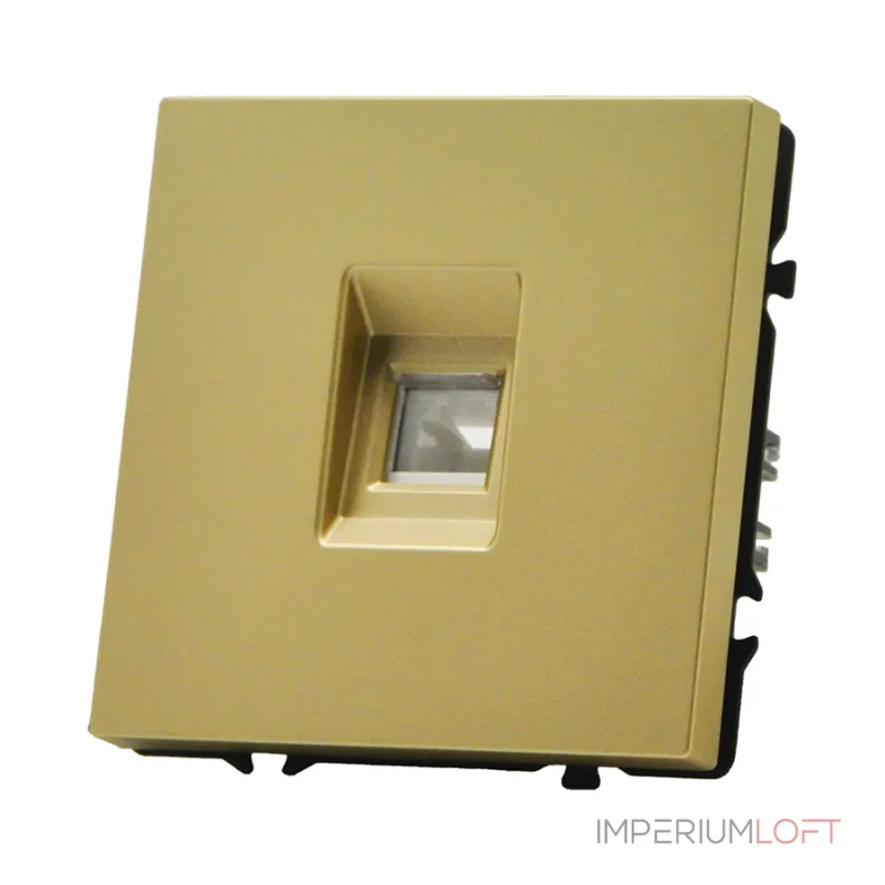 Розетка компьютерная одиночная LeDron CAT 6 (DATA) Gold от ImperiumLoft