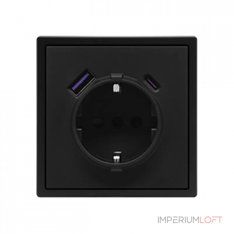 Розетка одинарная с заземлением с USB-портом для зарядки Type A + Type C LeDron EU Socket with USB A+C 20W Black от ImperiumLoft