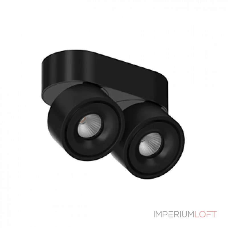 Потолочный поворотный светодиодный светильник LeDron LH8W LH8W 2 Black 4000K от ImperiumLoft