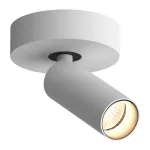 Потолочный поворотный светодиодный светильник LeDron SAGITONY SAGITONY R1 S40 Dim W-Bl от ImperiumLoft