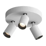Потолочный поворотный светодиодный светильник LeDron SAGITONY SAGITONY R3 S60 W-Bl 4000K от ImperiumLoft