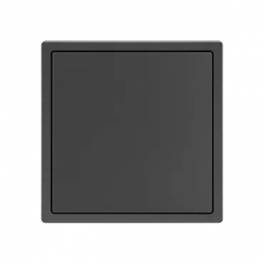 Заглушка для рамок LeDron Blank Panel Grey Заглушка для рамок LeDron Blank Panel Grey