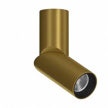 Потолочный поворотный светильник под сменную лампу LeDron MJ1402 MJ1402 Gold-Black