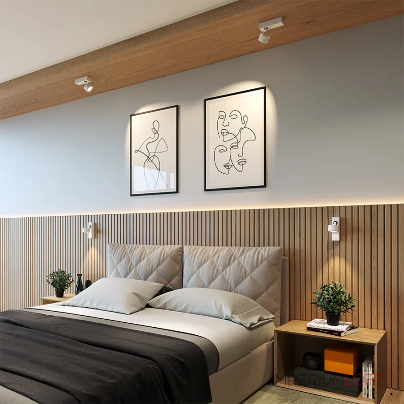 Настенно-потолочный поворотный светодиодный светильник LeDron SAGITONY SAGITONY E S75 White от ImperiumLoft