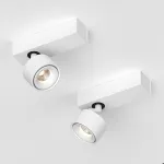 Настенно-потолочный поворотный светодиодный светильник LeDron SAGITONY SAGITONY E S75 White от ImperiumLoft