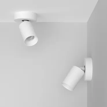 Потолочный поворотный светодиодный светильник LeDron SAGITONY SAGITONY R1 S60 Dim White