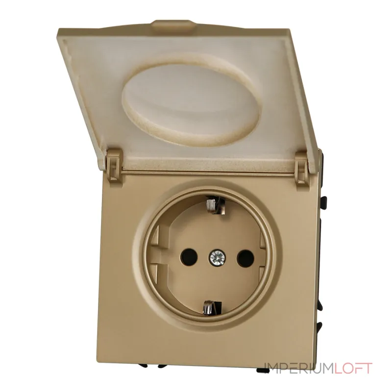 Розетка одинарная с заземлением с крышкой с защитными шторками LeDron EU Socket with Waterproof Cover Gold от ImperiumLoft
