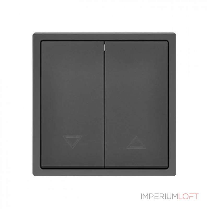 Двухклавишный жалюзийный выключатель LeDron 2 Gang Curtain Switch Grey от ImperiumLoft