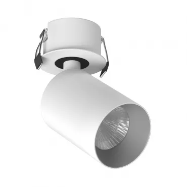 Встраиваемый поворотный светодиодный светильник LeDron SAGITONY SAGITONY R BASIC S60 W-Gr