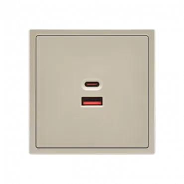USB зарядное устройство типа A+С LeDron USB Socket A+C 65W Cashmere