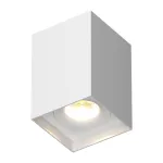 Потолочный светильник под сменную лампу LeDron MJ1021GW MJ1021 White от ImperiumLoft