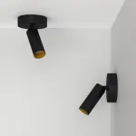 Потолочный поворотный светодиодный светильник LeDron SAGITONY SAGITONY R1 S40 Dim B-Gl от ImperiumLoft