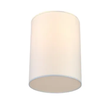 Потолочный светильник LightHall Camerona 30 LH022018 Потолочный светильник LightHall Camerona 30 LH022018