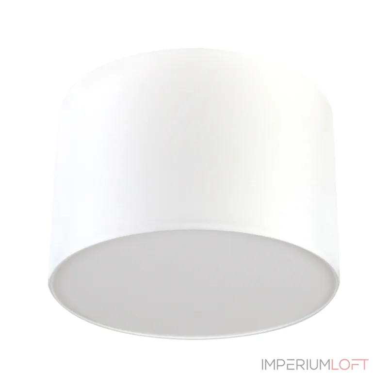 Потолочный светильник LightHall Camerona 45 LH022013 Потолочный светильник LightHall Camerona 45 LH022013