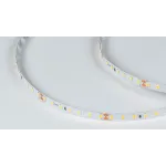 Светодиодная лента LUX SMD-2835 Нейтральный белый цвет, DSG298-24-NW-33 от NovaLamp